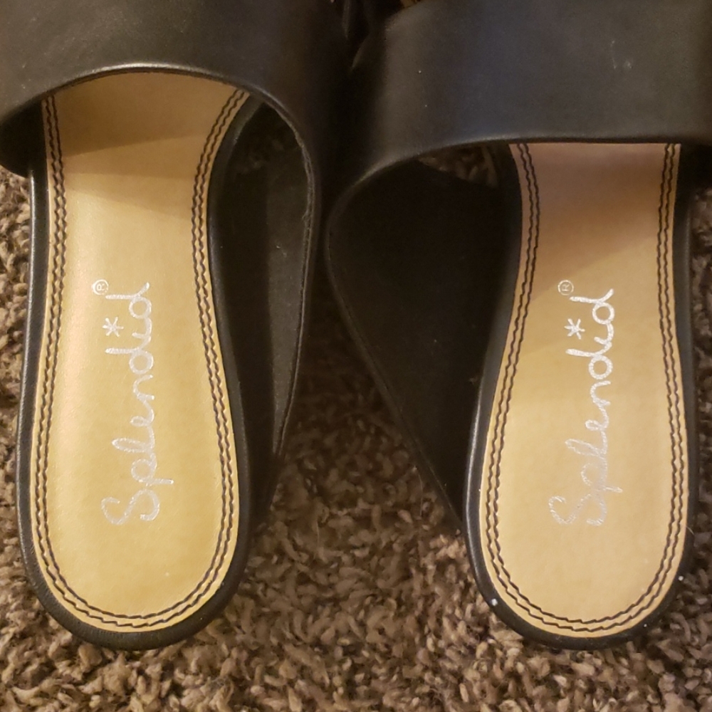 Splendid Slides - Picture 2 of 4